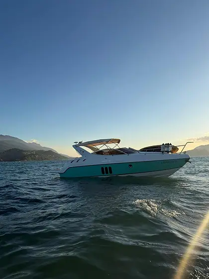 Phantom 300 2014